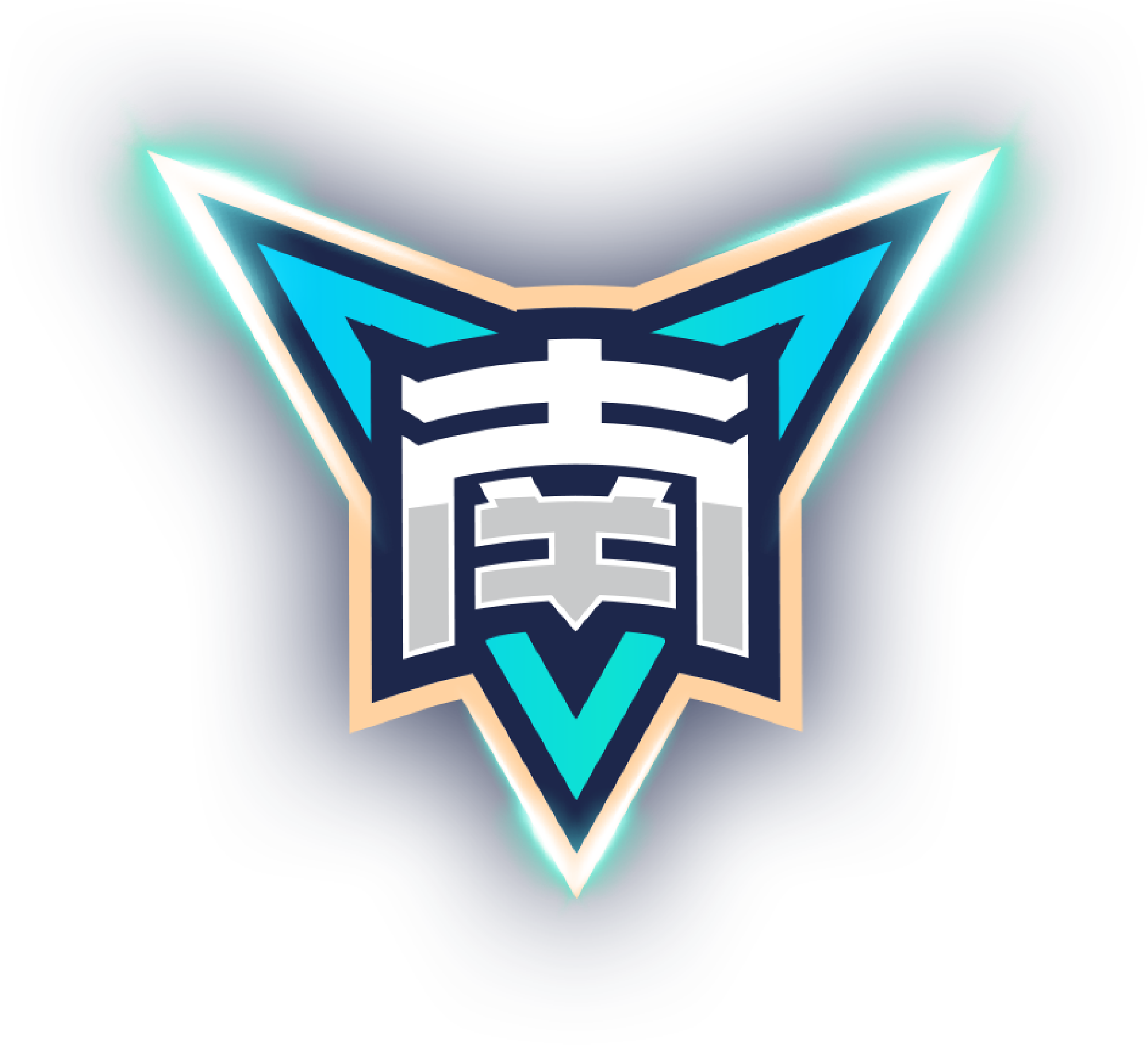 桑德菲杰